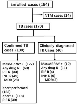 A comparative study of MassARRAY and GeneXpert assay in detecting rifampicin resistance in tuberculosis patients’ clinical specimens